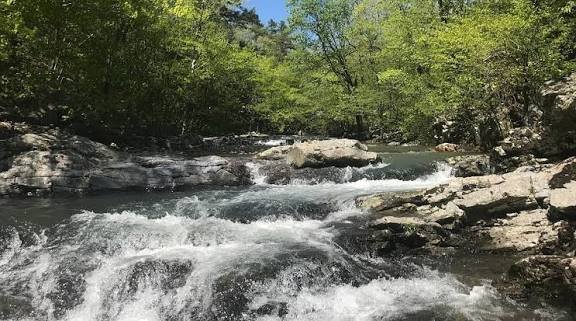 Ouachita National Forest